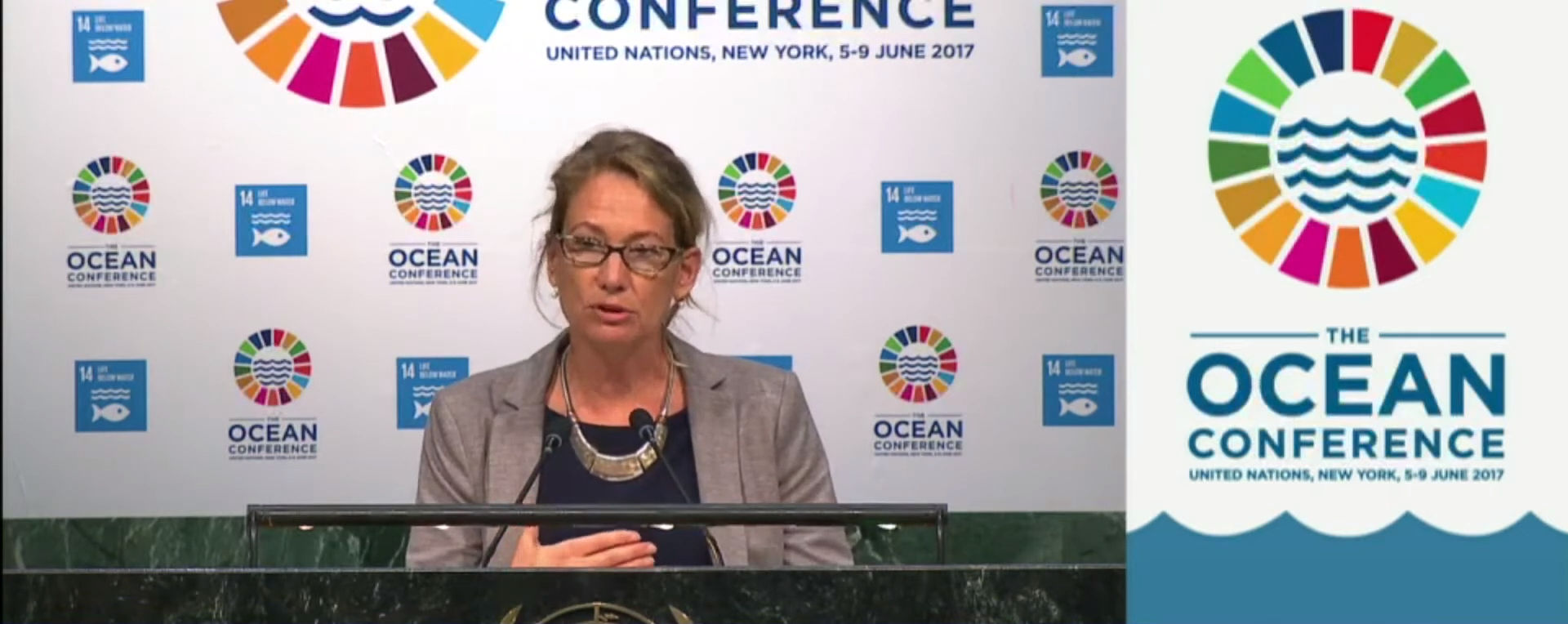 Deep sea mining: Seas At Risk's statement at the UN Ocean Conference ...