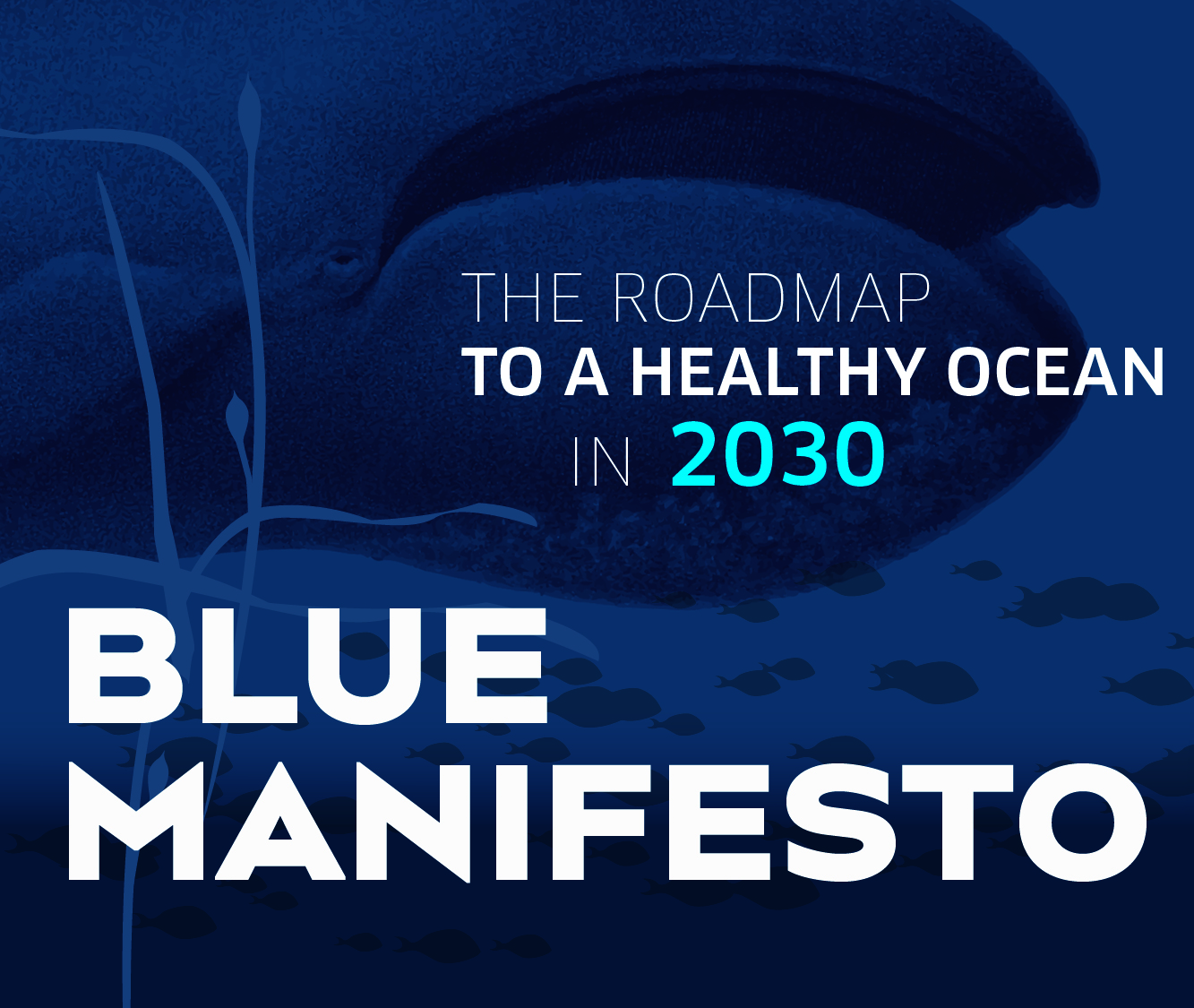 Blue Manifesto