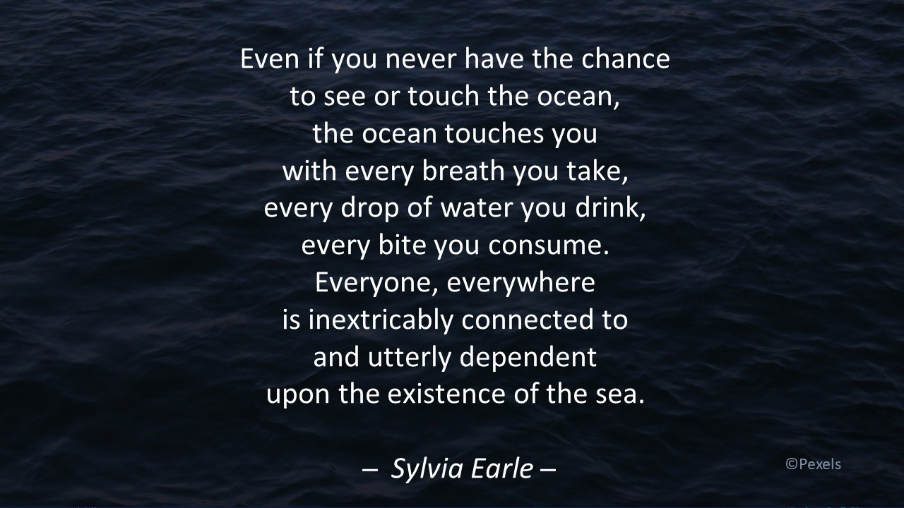 Sylvia Earle quote