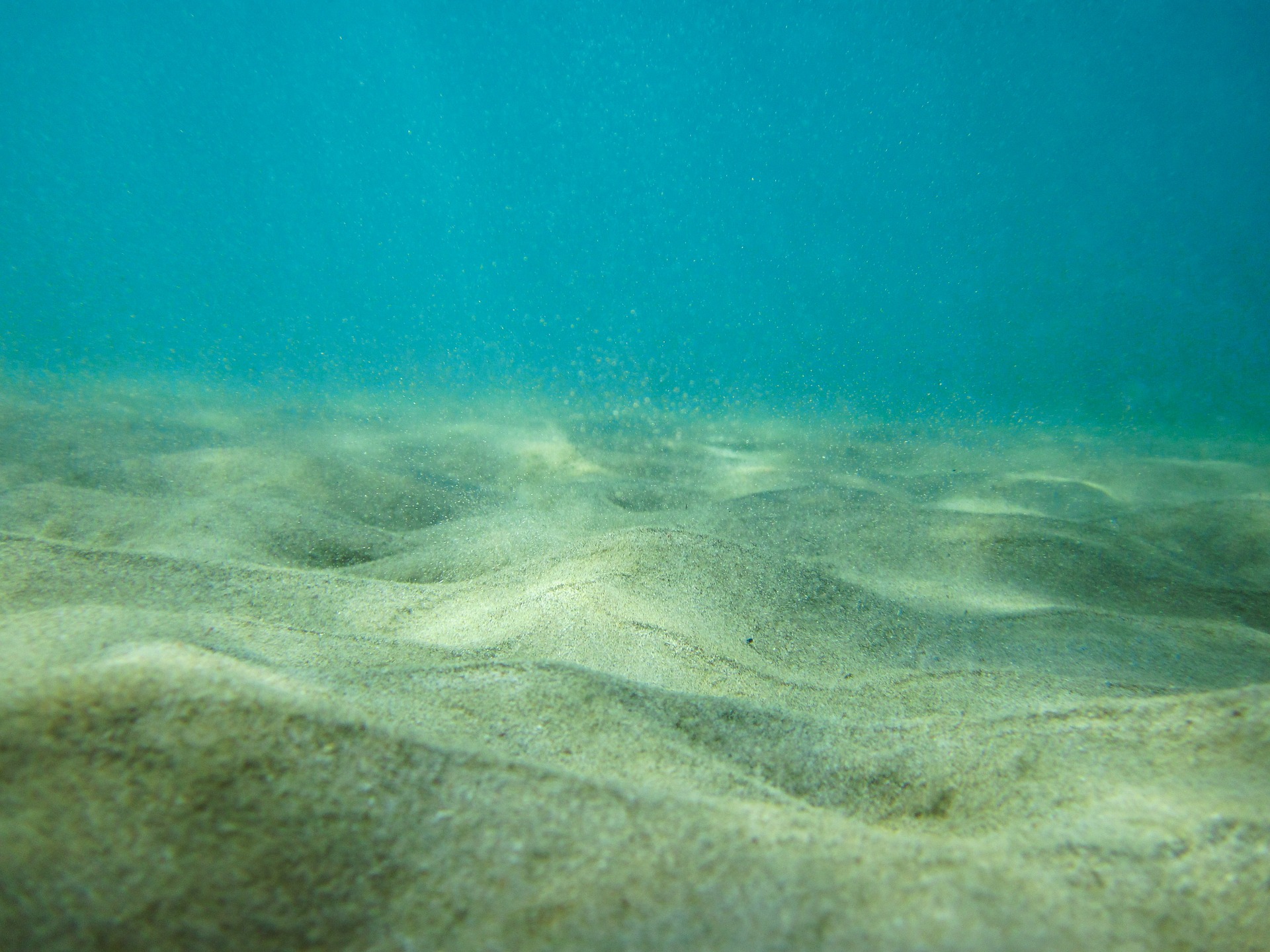 Sea floor