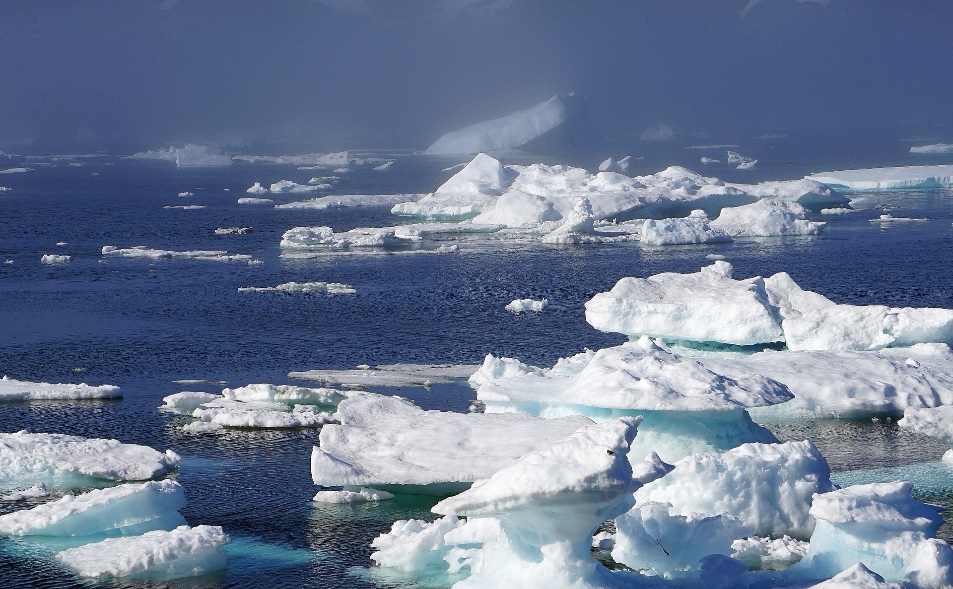 Arctic Ocean could become ice-free by 2030. Why it matters