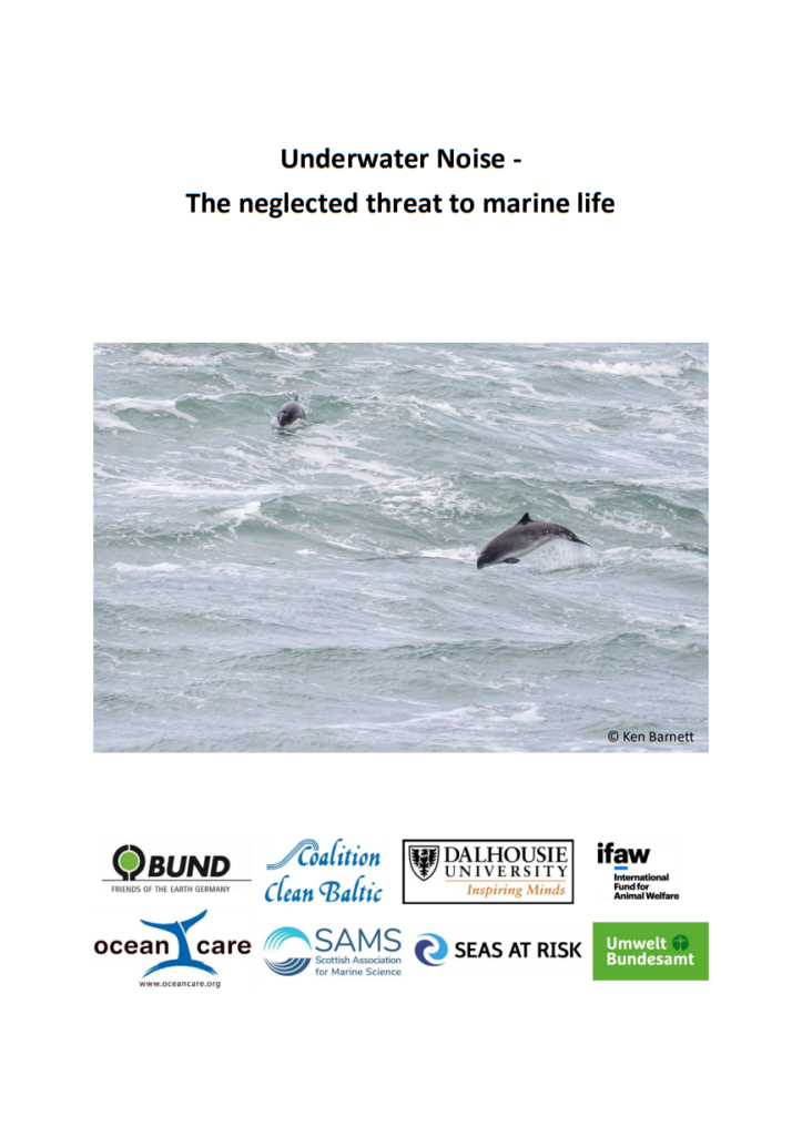 NGOs urge governments to reduce underwater noise - Seas At Risk