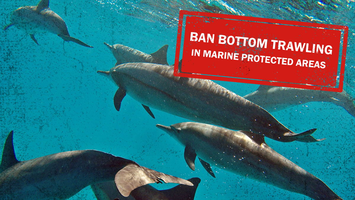 Threat of bottom trawl ban in 13 MPAs