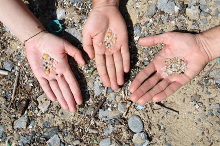 EU needs binding, sweeping measures to stop plastic pellet pollution at ...