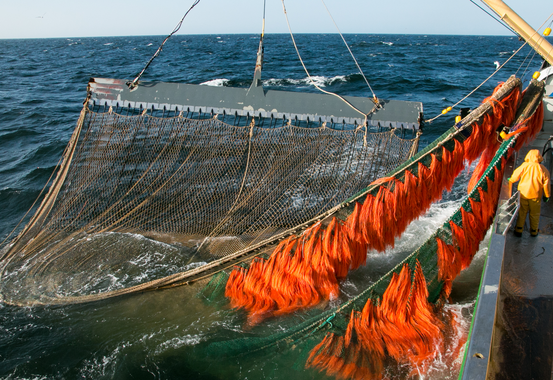 Discarded, lost and abandoned fishing nets: Threatening clean oceans and biodiversity - Seas At Risk Discarded, lost and abandoned fishing nets: Threatening clean oceans and biodiversity - Seas At Risk