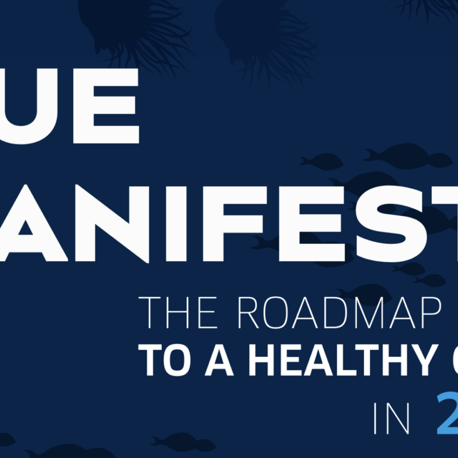 Blue Manifesto: 2022 Progress Assessment