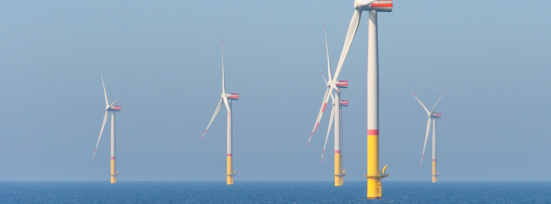 Copyright image: Sinousxl