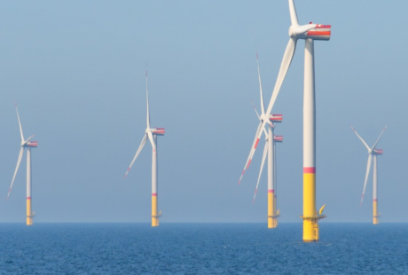 Copyright image: Sinousxl